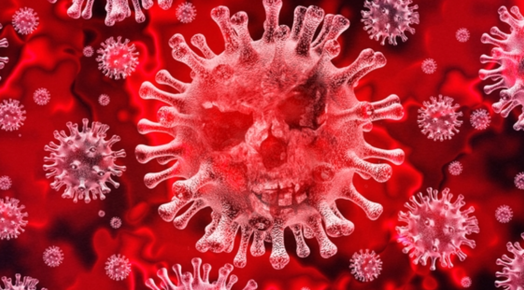 Coronavirus: An In-Depth Look at the Virus That’s Shaking the World